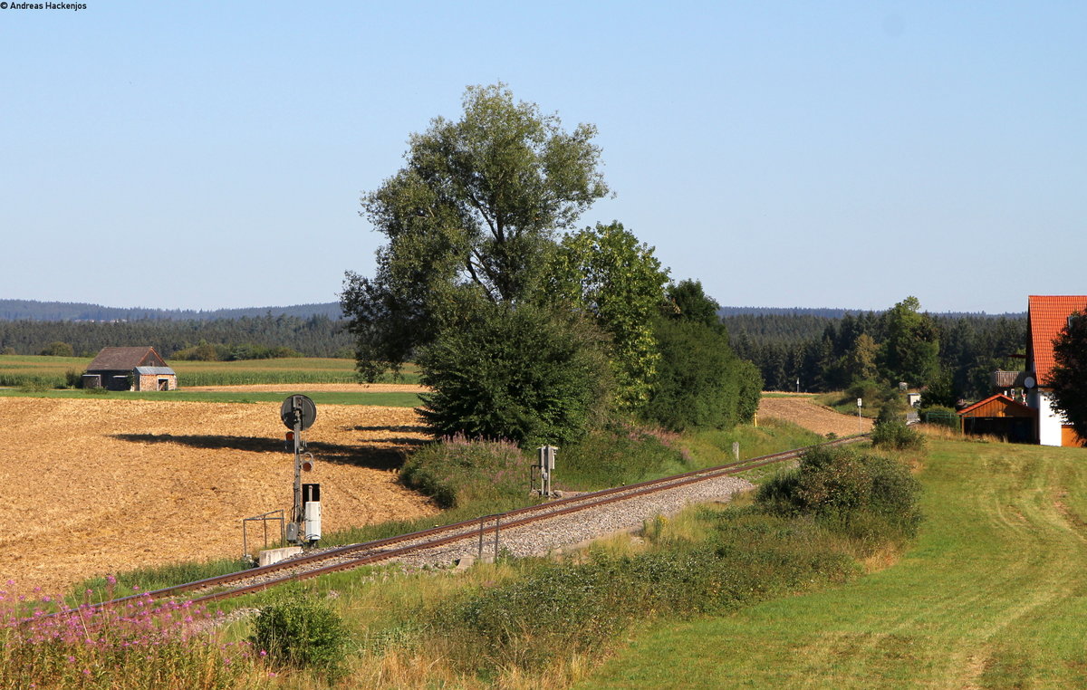 Einsam steht das Ausfahrvorsignal ohne das Einfahrsignal bei Löffingen am 31.7.18. Auch es wird nur noch Stunden stehen 