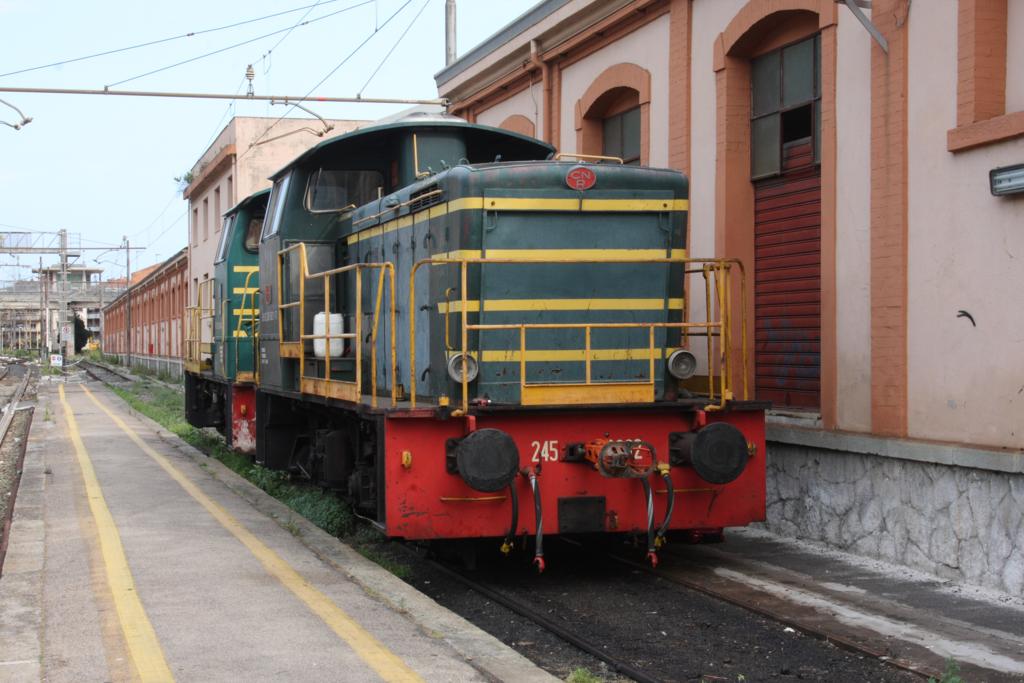 Einst war diese Rangier Diesellok der FS zuzuordnen. Am 9.6.2015 traf ich auf sie im Bahnhof Ventimiglia. Sie war mit CNR 2450062 bezeichnet.