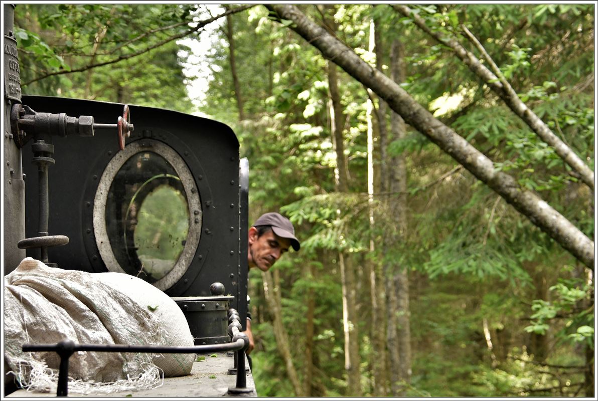 Einzelne Bäume kommen der Lok auf der Waldbahn bei Comandau ziemlich nahe. (15.06.2017)