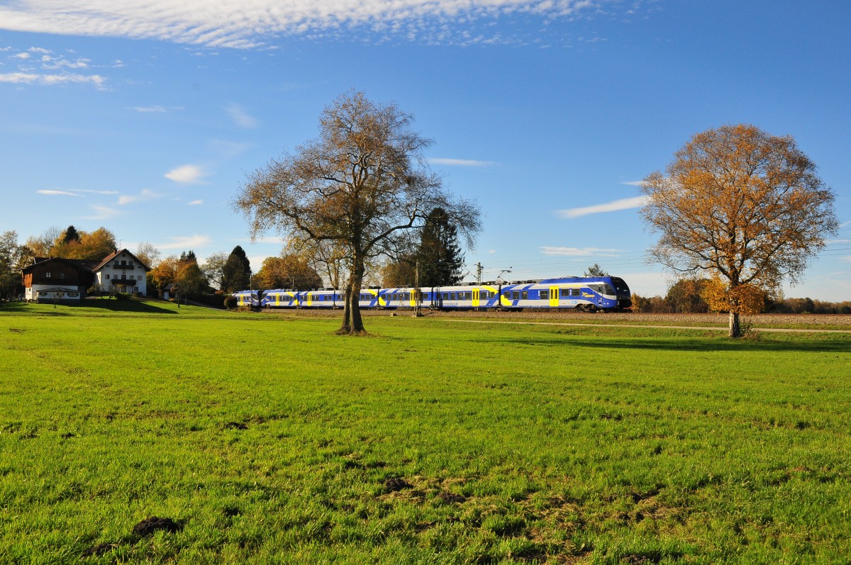 Eisenbahn und Landschaft- Spätherbst in Übersee  am Chiemsee. Ein Meridian ET306 Triebzug auf dem Weg von München nach Salzburg am 01.11.14