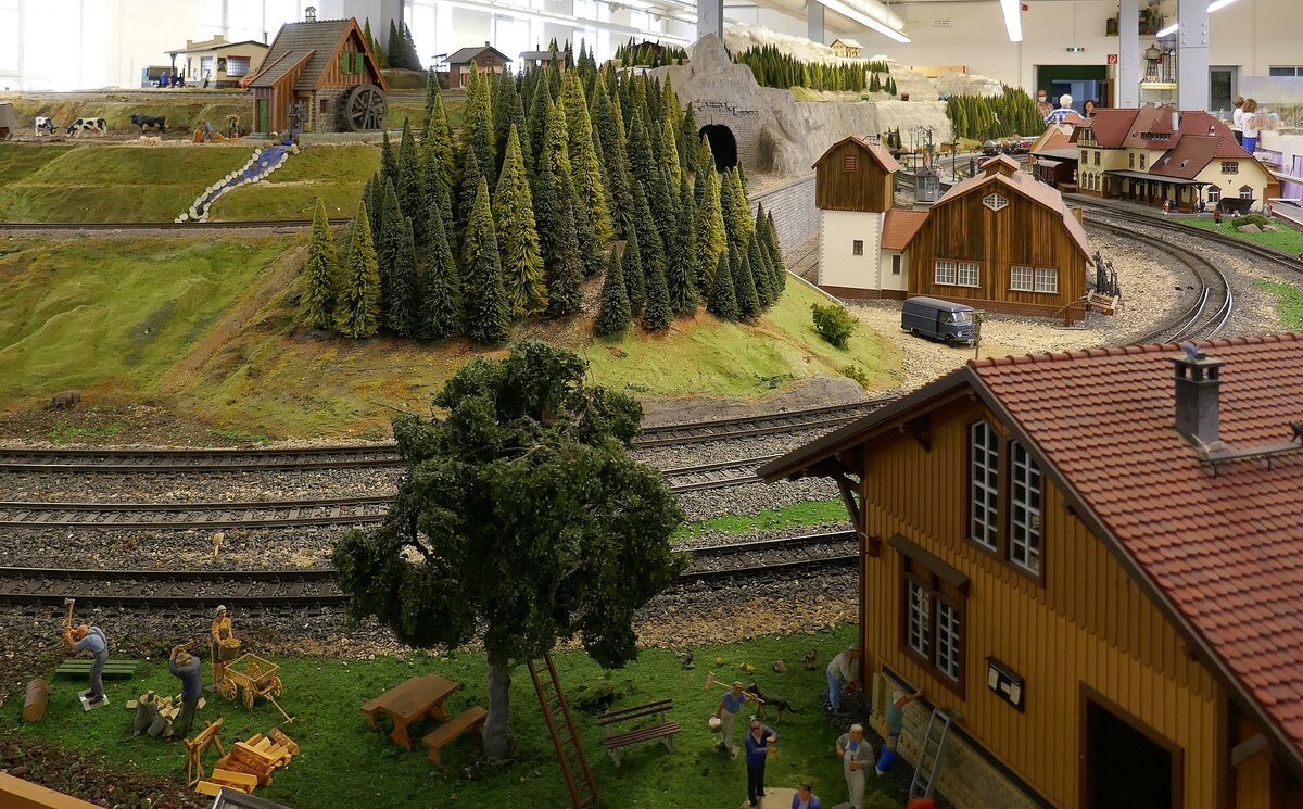Eisenbahnmuseum Schwarzwald in Schramberg, Bilder von der größten Spur II Sammlung der Welt, Juli 2022