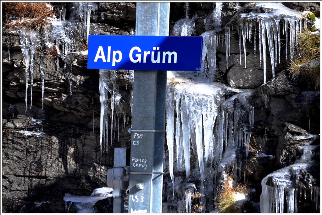 Eiszeit auf Alp Grüm. (23.10.2014)