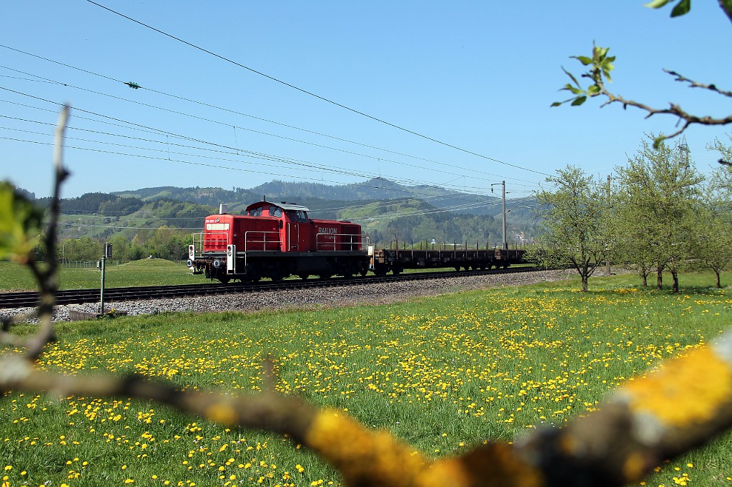 EK 55813 mit 294 855-2 bei Biberach (22.04.2015)