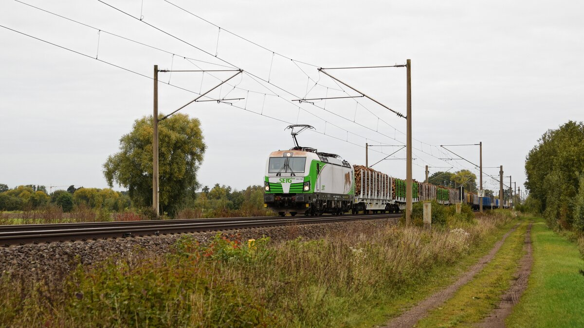 ELL 193 728, vermietet an STEG, mit Holzzug in Richtung Osnabrück (Hüde, 16.10.2021).