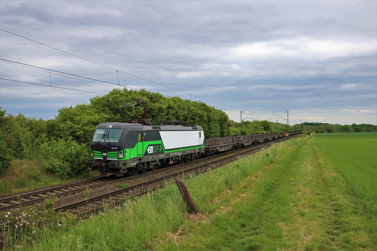 ELL Siemens Vectron 193 239-1 mit dem Kupferanodenzug in Nieder Mörlen (Wetterau) am 24.05.20