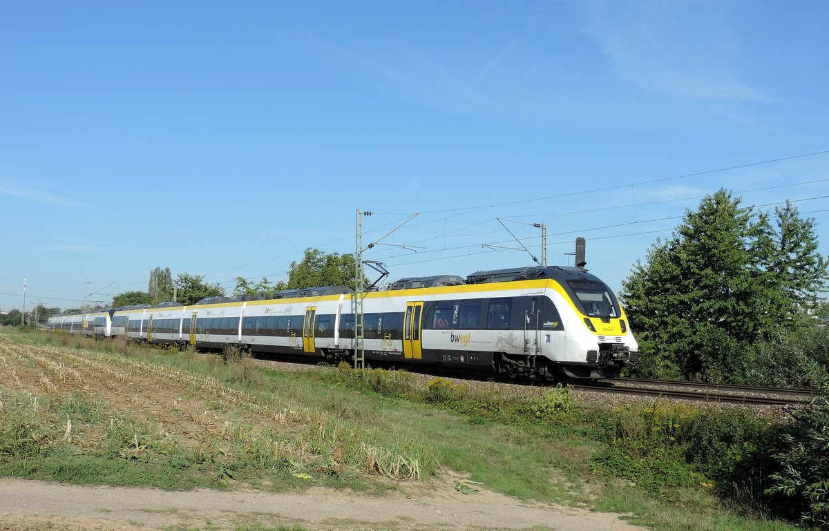 Ellental - 8. September 2020 : Abellio Talent 2 8442 806 mit einem zweiten Triebzug am RE 19511 Pforzheim/19611 Heidelberg nach Stuttgart unterwegs.