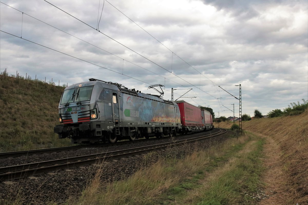 ELLorean TX Logistik Siemens Vectron 193 282-1 mit KLV in Hanau Rauschwald am 26.08.20