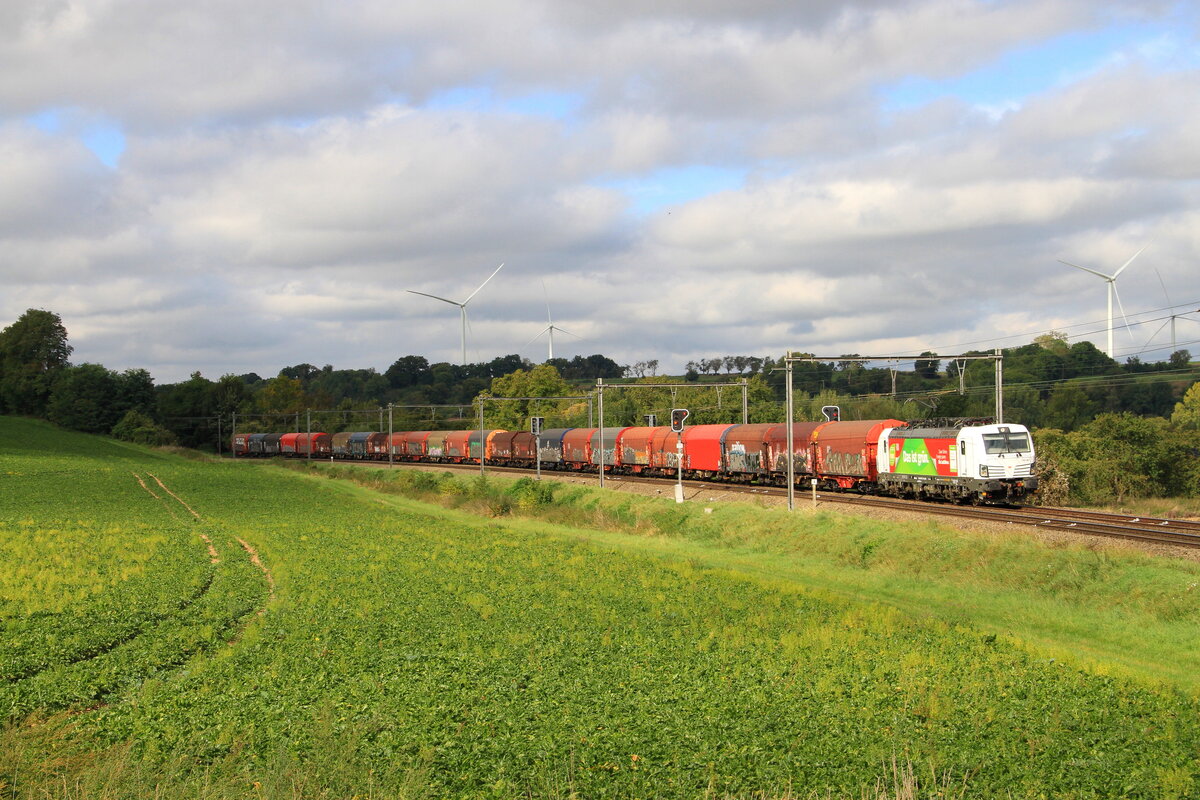 Eloc 193 361 from DBC hauling a coils train, is passing in Wonck, 19/9/2025