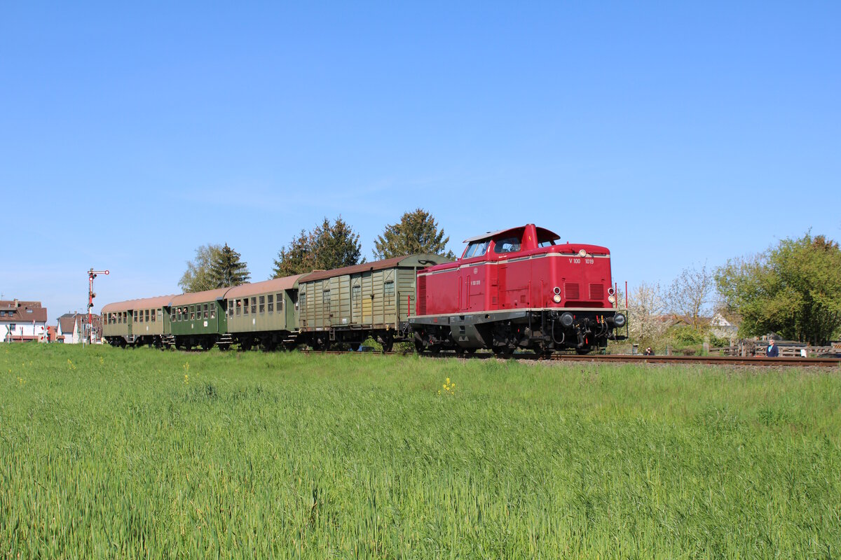 ELV 211 019-5 (V100 1019) ist mit ihrem Sonderzug zum Bahnhofsfest in Stockheim unterwegs und verlässt hier gerade den Bahnhof Beienheim in Richtung Nidda. (30.04.2023)
