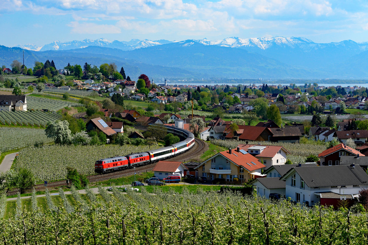 Ende April 2018 ergab sich aufgrund der Witterungslage die besondere Konstellation, dass in der Bodenseegegend Apfel- und Birnbäume gleichzeitig blühten. Dieses Naturschauspiel wollte ich mir natürlich nicht entgehen lassen, zumal in näherer Zukunft einschneidende Änderungen zu erwarten sind. Die Oberleitungsmasten werden im Rahmen der Elektrifizierung kommen und künftig wird eine Lärmschutzwand das hier gezeigte Motiv entwerten. Am 22. April 2018 war die Welt noch mehr als in Ordnung, er herrschte zwar eine gewisse Bewölkung vor, allerdings war die Fernsicht gut. So konnte man aus den Apfelplantagen bei Bodolz heraus einen wunderbaren Blick auf Lindau und den Bodensee genießen, im Hintergrund grüßen Bregenz und die Berge des Montafons. So wird der aufgenommene EC 195 auf seiner Fahrt nach München - geführt von 218 430 und 428 - fast zur Nebensache...