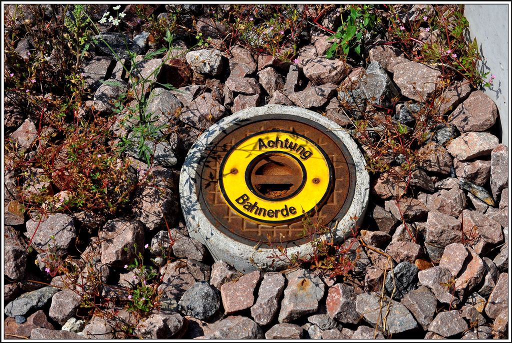 Entdeckt neben dem öffentlichen Fussgängerweg entlang der Geleise beim Bahnhof Hardbrücke. Wer weiss was das bedeutet?