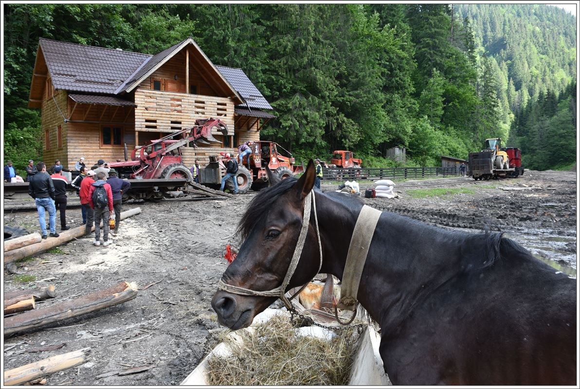 Entladen eines Motorgetriebes und Zustellung eines zweiten Baggers in Botizu ist eine alltägliche Situation auf der Wassertalbahn. (12.06.2017)