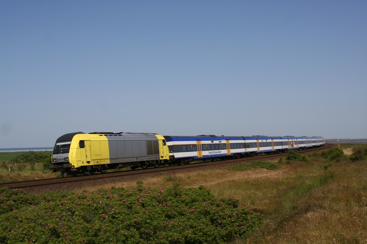 ER 20-011 beim Hindenburgdamm 31.05.2008
