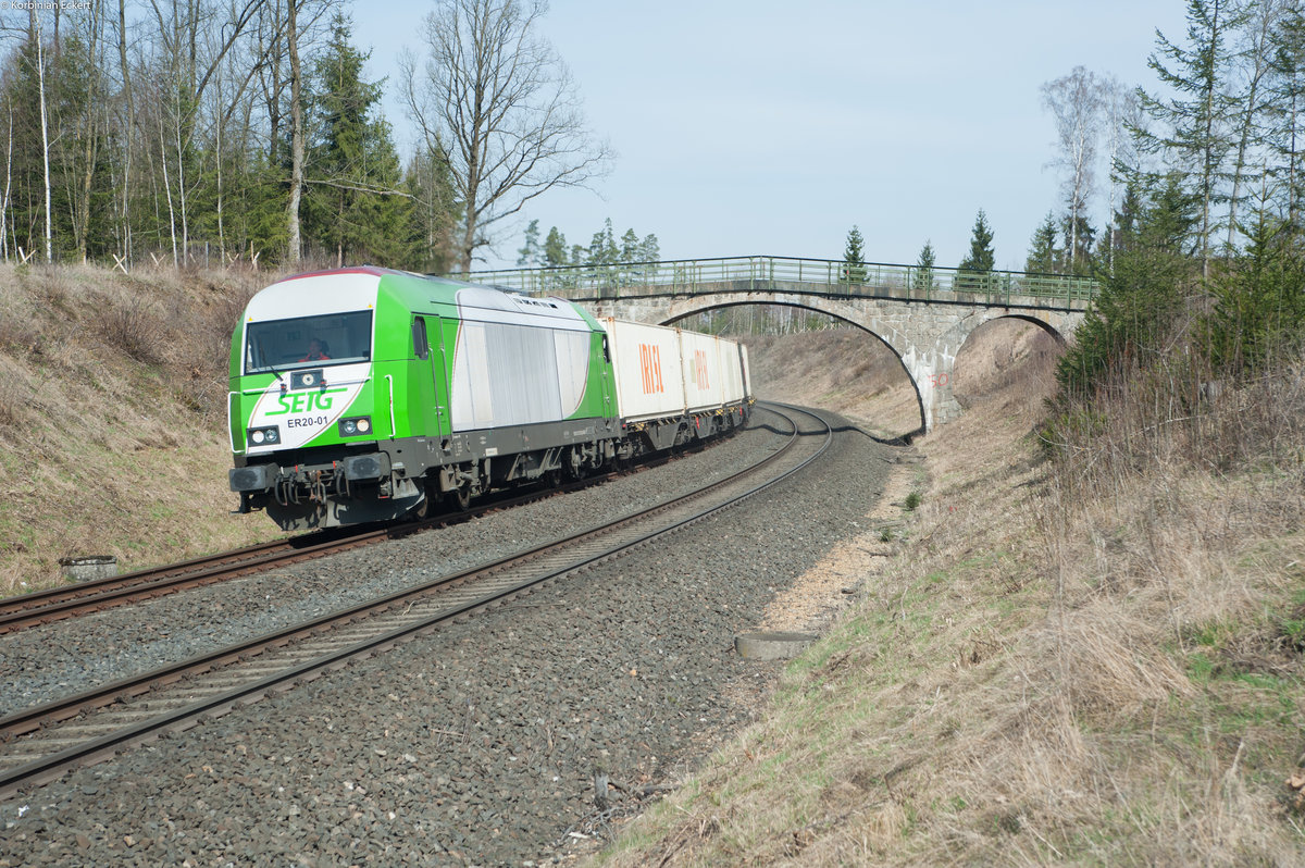 ER20-01 (223 102-5) mit dem Containerzug aus Hamburg nach Wiesau kurz vor dem Zielbahnhof, 25.03.2017