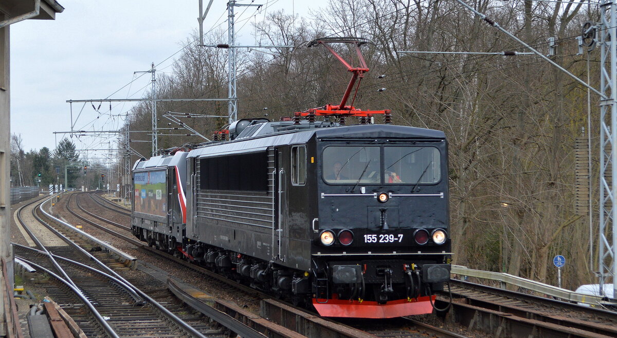 Erfurter Bahnservice Gesellschaft mbH mit Lokzug gezogen von  155 239-7  (NVR:  91 80 6 155 239-7 D-EBS ) mit  187 420-5  [NVR-Nummer: 91 80 6187 420-5 D-EBS] am Haken am 15.03.22 Berlin Buch.
