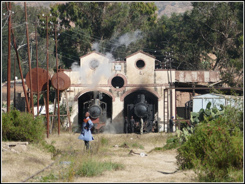 Eritrean Railway Lokdepot von 1911 mit der 202.008 und der 442.56. (19.01.2019)