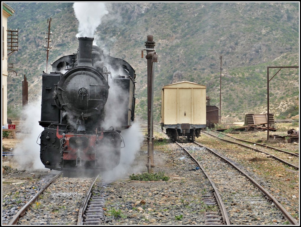 Eritrean Railway steamtrain special mit Mallettlok 442.56 in Nefasit. (17.01.2019)