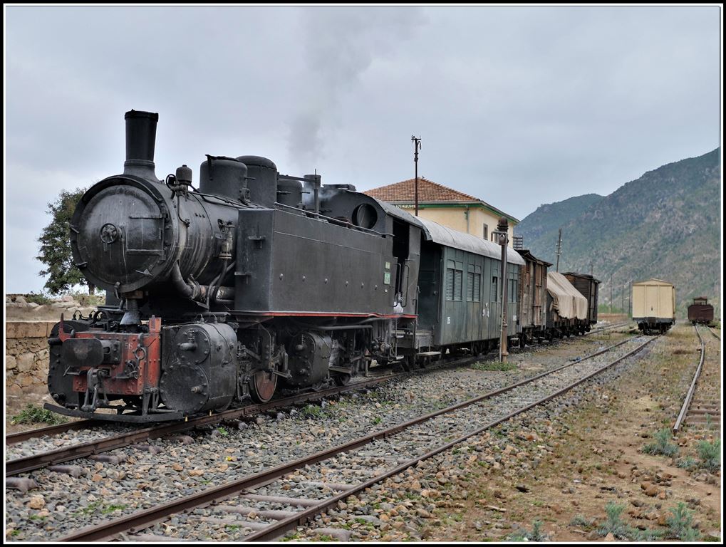 Eritrean Railway steamtrain special mit Mallettlok 442.56 in Nefasit. (17.01.2019)