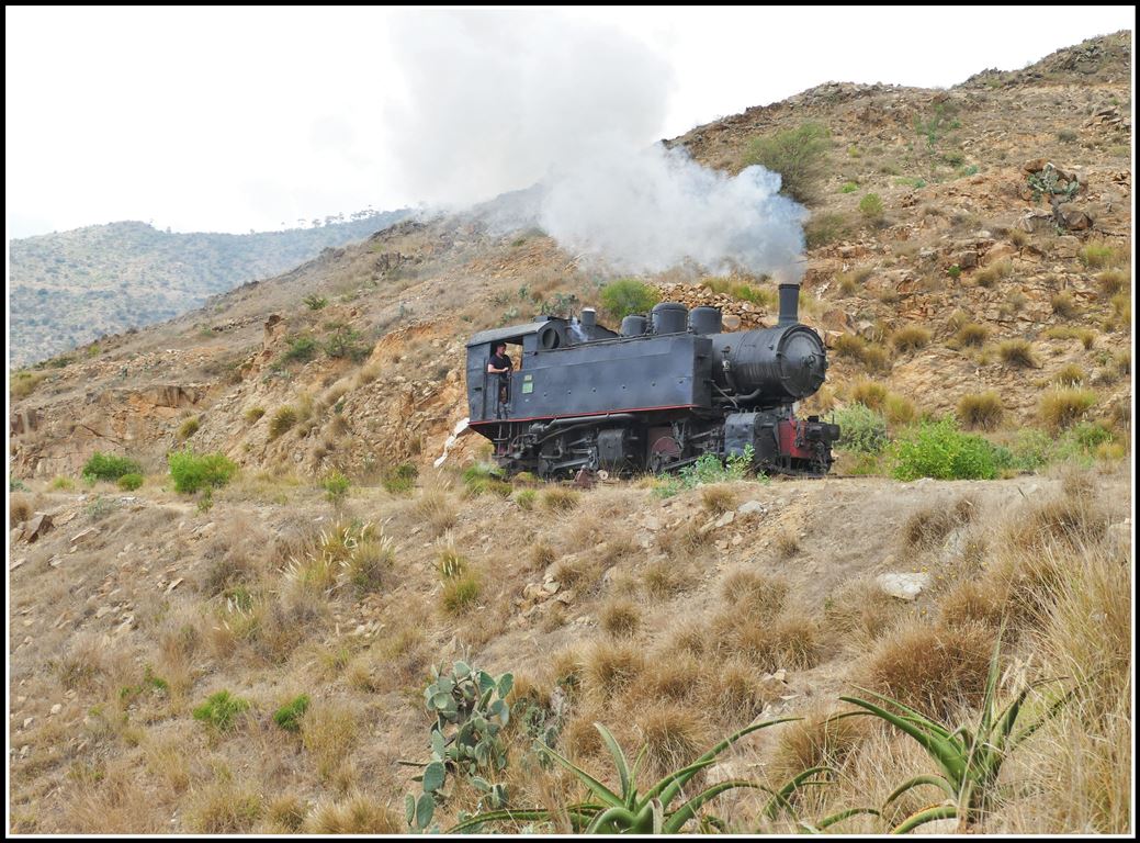 Eritrean Railways 442.56 braucht Wasser. Da es in Lessa kein Wasser gibt, fährt die Lok 5km weiter nach Arbaroba um Wasser aufzufüllen. (17.01.2019)