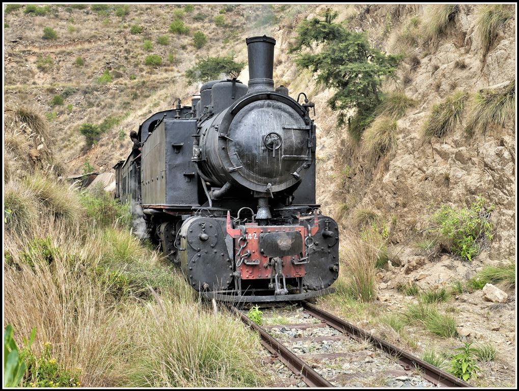 Eritrean Railways steamtrain special kurz vor der Ausweichstelle Lessa. Zuglok ist heute die Malletlok 442.56. (17.01.2019)