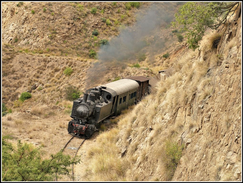 Eritrean Railways steamtrain special mit Mallettlok 442.56 erreicht in Kürze die Ausweichstelle Lessa. (17.01.2019)