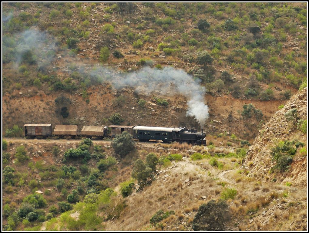 Eritrean Railways steamtrain special mit Mallettlok 442.56 kämpft sich weit ab jeder Zivilisation den Berg hinauf Richtung Asmara. (17.01.2019)