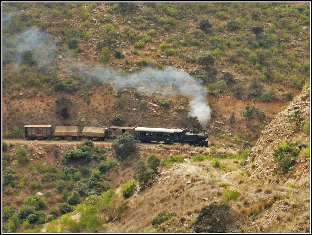 Eritrean Railways steamtrain special mit Mallettlok 442.56 kämpft sich weit ab jeder Zivilisation den Berg hinauf Richtung Asmara. (17.01.2019)
