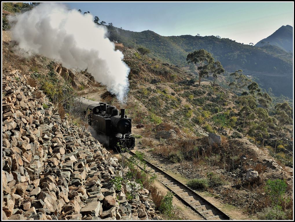 Eritrean Railways steamtrain special mit Malletlok 442.56 vor Shegerini. (18.01.2019)