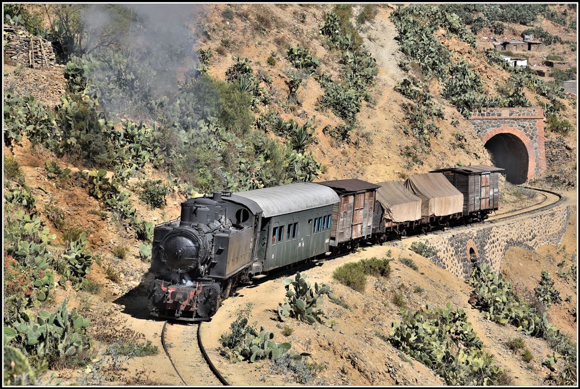 Eritrean Railways steamtrain special mit 442.56 rund um Shegerini in rund 2200m ü/M. (18.01.2019)