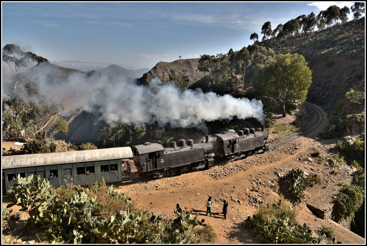 Eritrean Railways steamtrain special mit 442.55 und 442.56 zwischen Shegerini und Asmara auf rund 2200m ü.M. (18.01.2019)