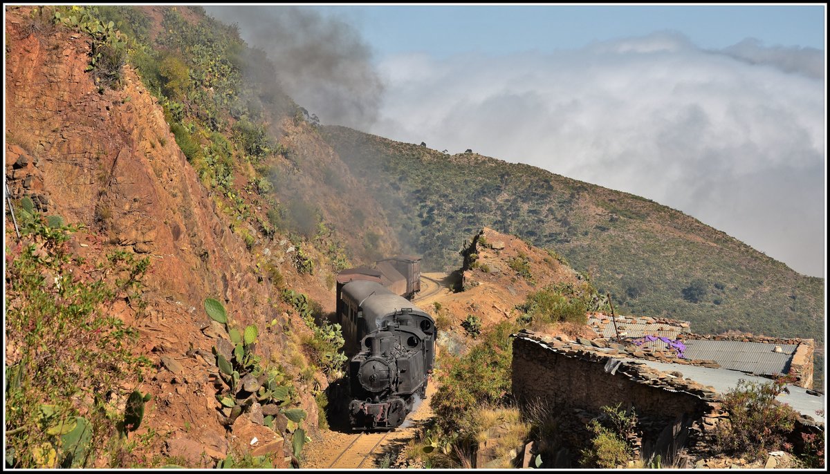 Eritrean Railways steamtrain special mit 442.55 und 442.56 zwischen Shegerini und Asmara auf rund 2200m ü.M. (18.01.2019)