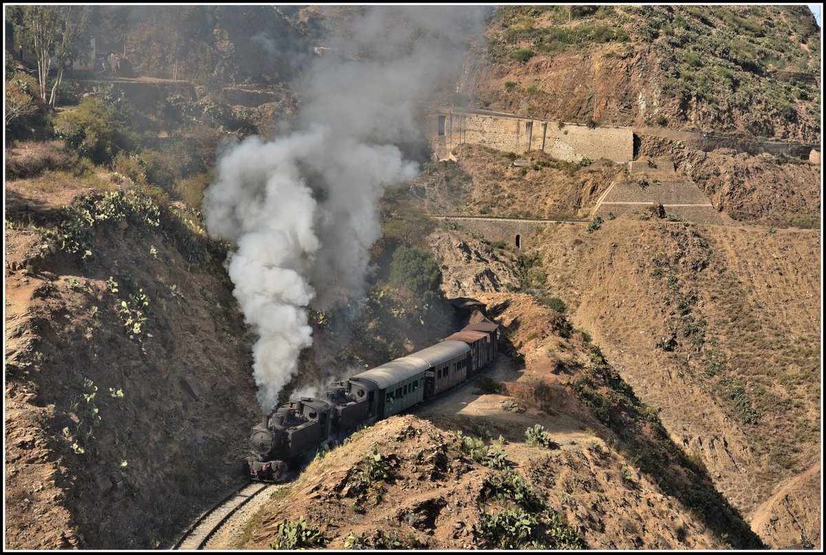 Eritrean Railways steamtrain special mit 442.55 und 442.56 zwischen Shegerini und Asmara auf rund 2200m ü.M. (18.01.2019)