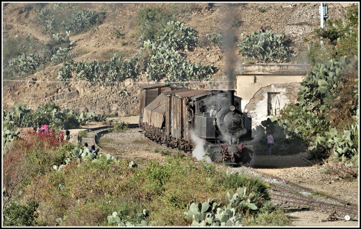 Eritrean Railways steamtrain special mit der kleinen Mallet 440.008 und ihrem Güterzug in Shegerini. (19.01.2019)