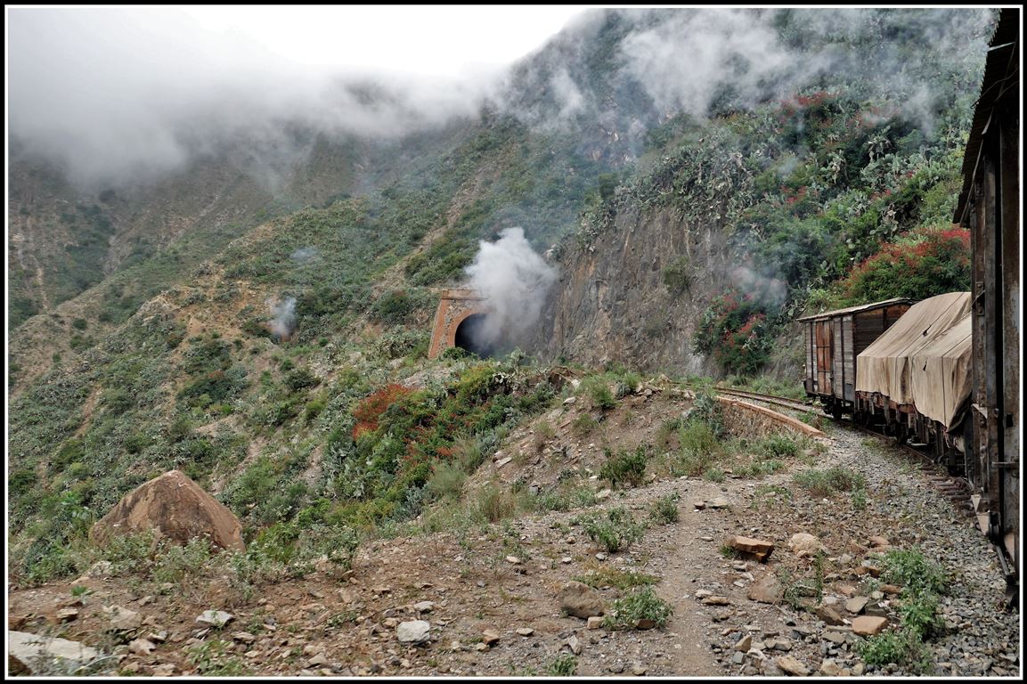 Eritrean Railways steamtrain special zwischen Lessa und Arbaroba weitab von jeder Siedlung.Die Tunnelreiche Strecke am steil abfallenden Berghang ist teilweise schwindelerregend. (17.01.2019)