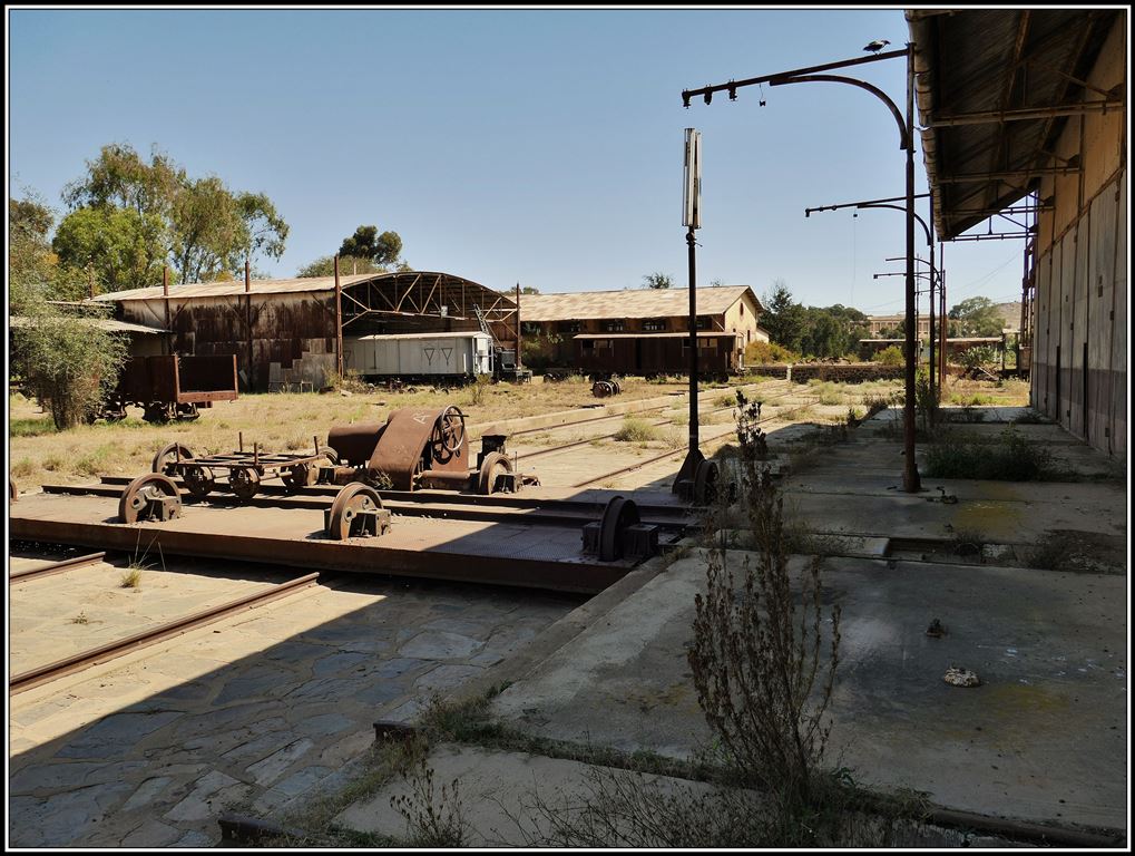 Eritrean Railways. Unzählige Geleise sind durch die rund 150m lange Schiebebühne erreichbar. (18.01.2019)