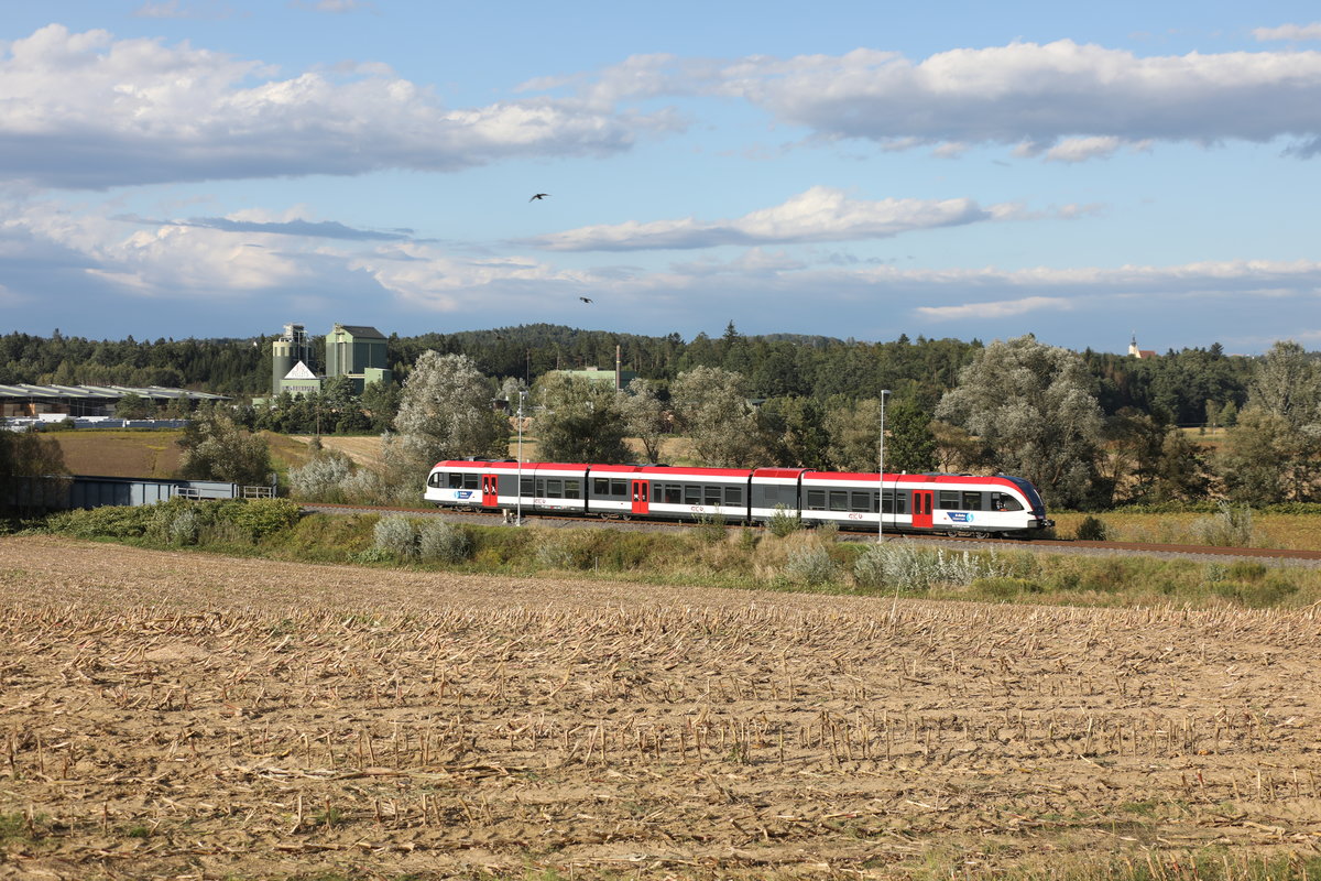 Erntezeit ist in der Weststeiermark... 

Wettmanstätten am 14.09.2017