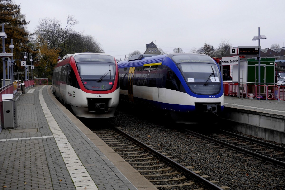 Ersatzfahrzeug 643 119 (rechts) und Regelfahrzeug 643 239 (links) in Mettmann Stadtwald, 18.11.14.