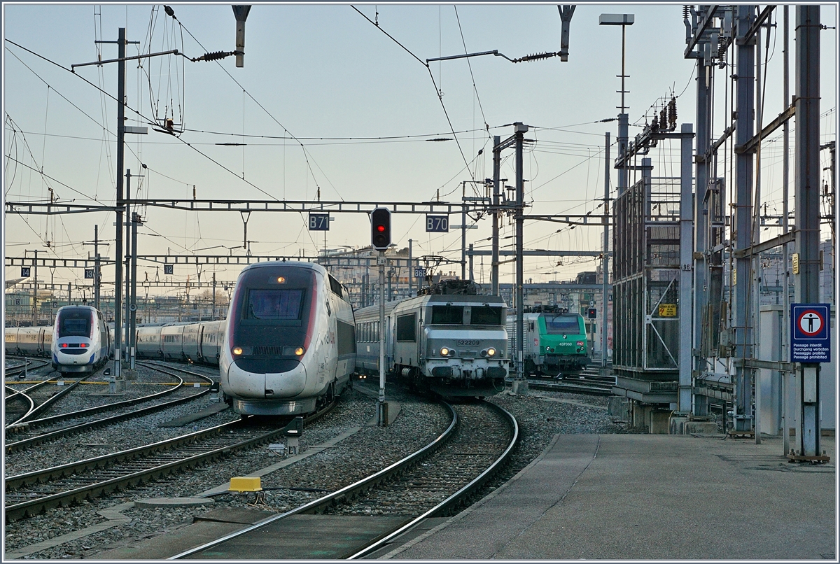 Erst hinter zwei TGV versteckt, kommt die SNCF BB 22209 nun mit ihrem TER 96556 aus der Abstellgruppe von Genève zur Bereitstellung auf Gleis 8. 

23. März 2019
 