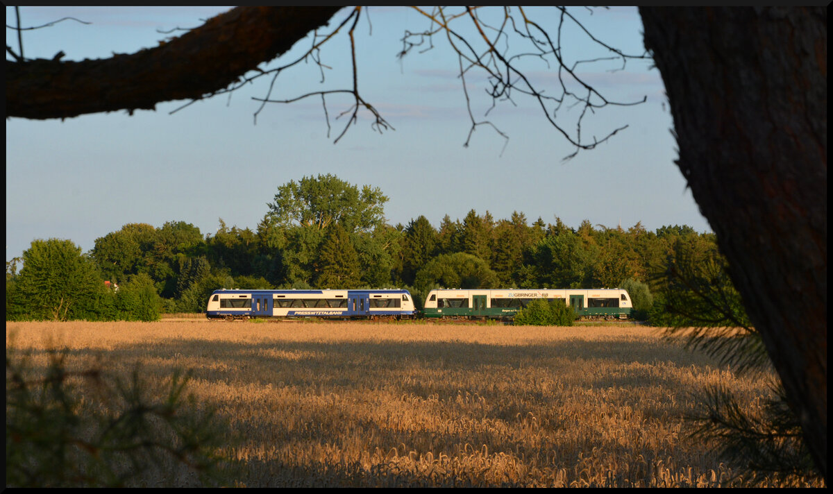 Erstmals seit 27 Jahren verkehrten vom 11. Juli bis 23. August 2026 wieder regelm��ig Personenz�ge zwischen der Hansestadt Greifswald und dem Seebad Lubmin. Die als „Sommerlinie“ bezeichnete RB29 fuhr an allen Wochenenden w�hrend der mecklenburg-vorpommerschen Sommerferien im Zweistundentakt zwischen dem Greifswalder Bahnhof und Lubmin Gbf. Auf der rund 33 min�tigen Fahrt lagen die Zwischenhalte Greifswald S�d und Seebad Lubmin. Das Land MV hatte die Pressnitztalbahn (PRESS) mit diesen Zugleistungen beauftragt. Eingesetzt wurden die beiden unternehmenseigenen RegioShuttle 650 075-2 (NVR: 95 80 0650 683-5 D-PRESS) „ZUGBRINGER BB“ („Black Pearl“) und 650 074-3 (NVR: 95 80 0650 681-9 D-PRESS) „Queen Rita“, hier am 02.08.2026 bei Vierow.