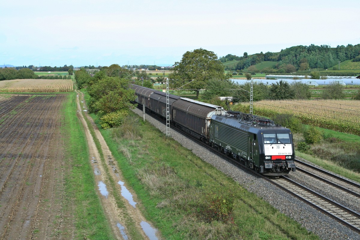 ES 64 F4-088 mit einem Papierzug in Richtung Italien am Mittag des 16.10.13 nrdlich von Hgelheim.