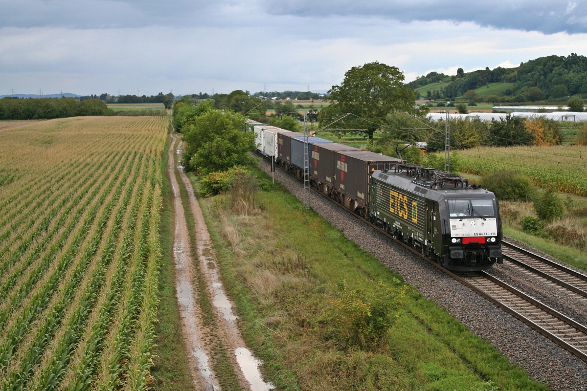 ES 64 F4-115 mit einem KLV-Zug gen S�den am Nachmittag des 12.09.13 n�rdlich des kleinen Weinortes H�gelheim.