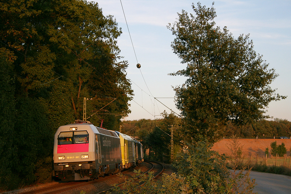 ES 64 P-001 mit einem Lokzug auf dem Weg nach Mönchengladbach, von dort geht die Fuhre weiter ins PCW.
Aufgenommen am 23. August 2009 in Köln-Bocklemünd.