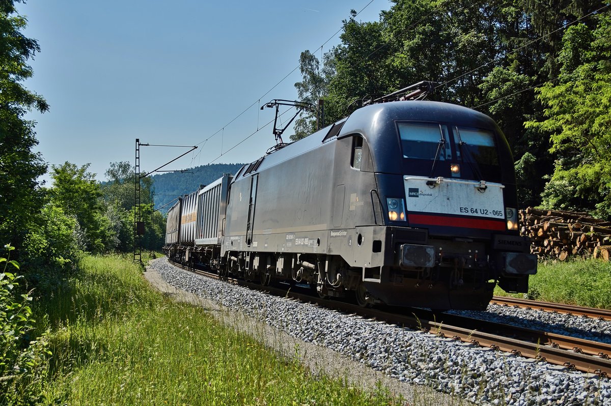 ES 64 U2-065 (182 565) von MRCE ist hier am 07.06.16 mit einen Containerzug bei Riedneck zu sehen.