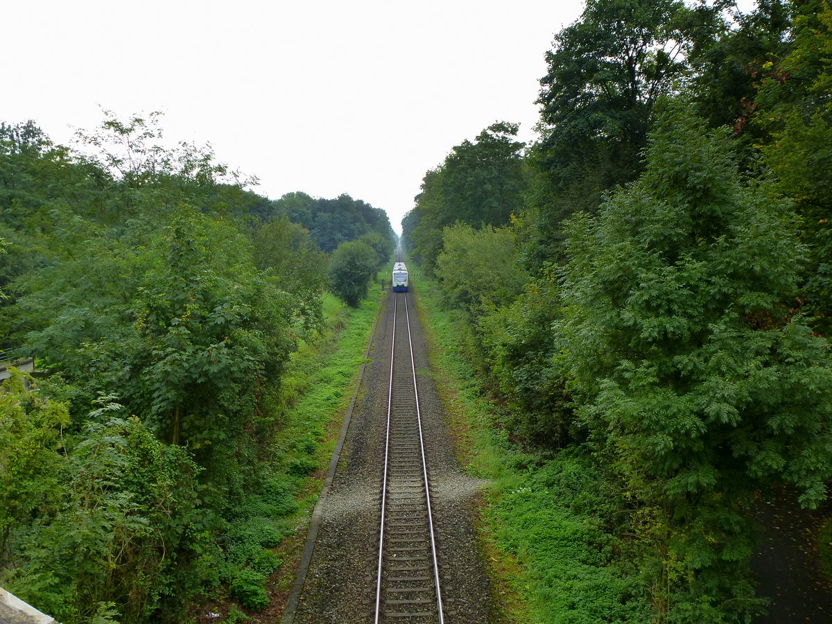  es fährt ein Zug nach nirgendwo... , könnte man meinen, dieser fährt zum Freiburger Hauptbahnhof und ist ein Triebwagen der Breisgau-S-Bahn, gesehen von einer Straßenbrücke am Stadtrand, Sept.2017