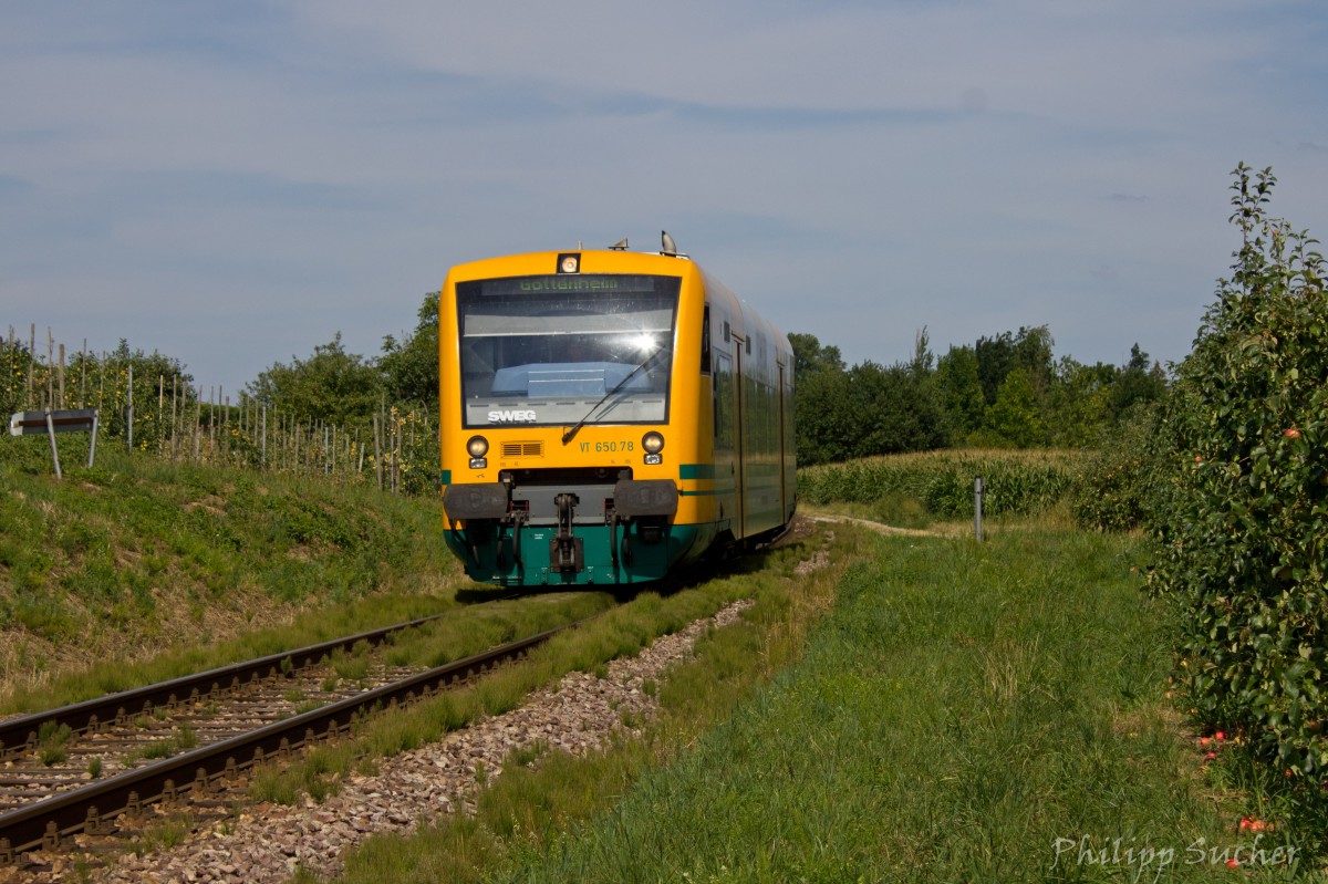 Es grünen die Gleise so grün... SWEG VT 650.78 (ex ODEG) auf dem Weg nach Gottenheim. (Aufgenommen 31.07.2015)