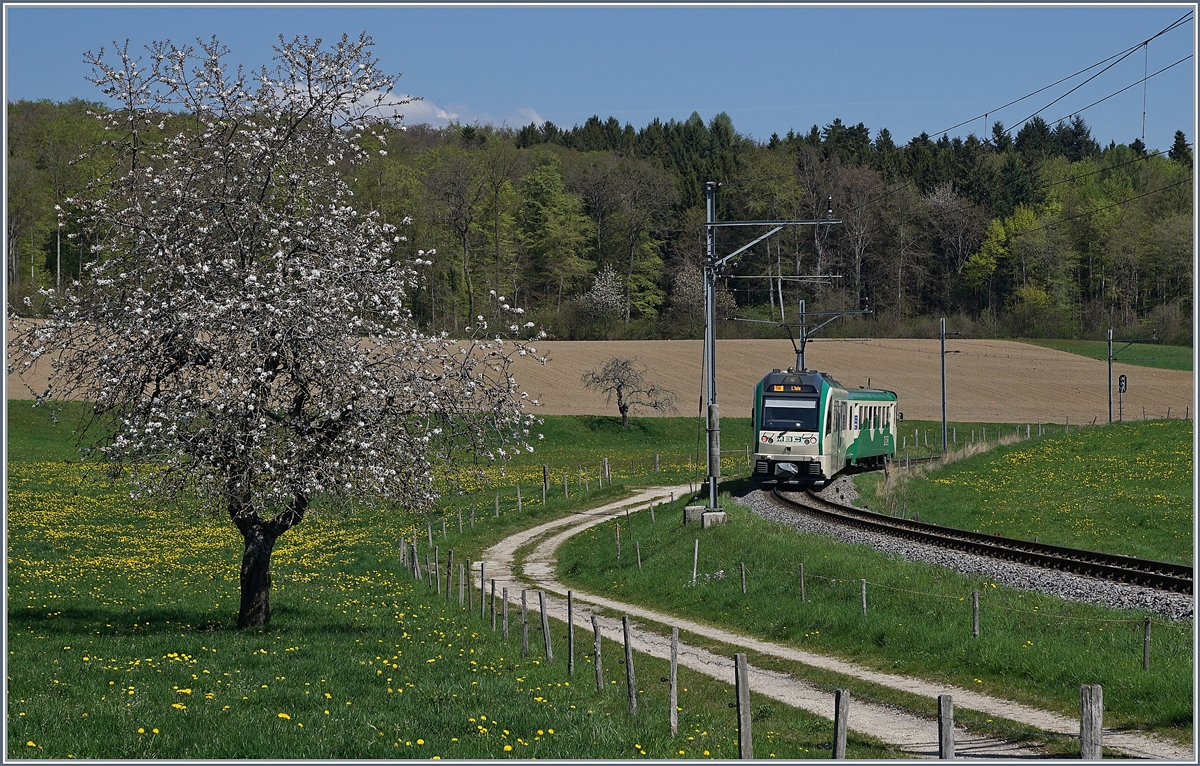 Es grünt und blüht, ein guter Grund wieder Mal zur BAM zu fahren: Der BAM MBC Be 4/4 35 schiebt kurz nach Apples seinen Bt 54 als Regionalzug 524 Richtung l'Isle.
19. April 2018