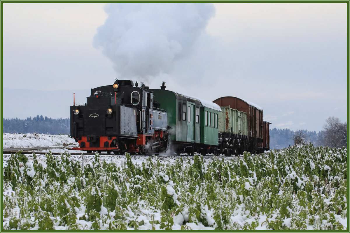 Es grünt so grün ,... Unmittelbar vor dem Bahnhof Kraubath in der Weststeiermark am 16.12.2018
