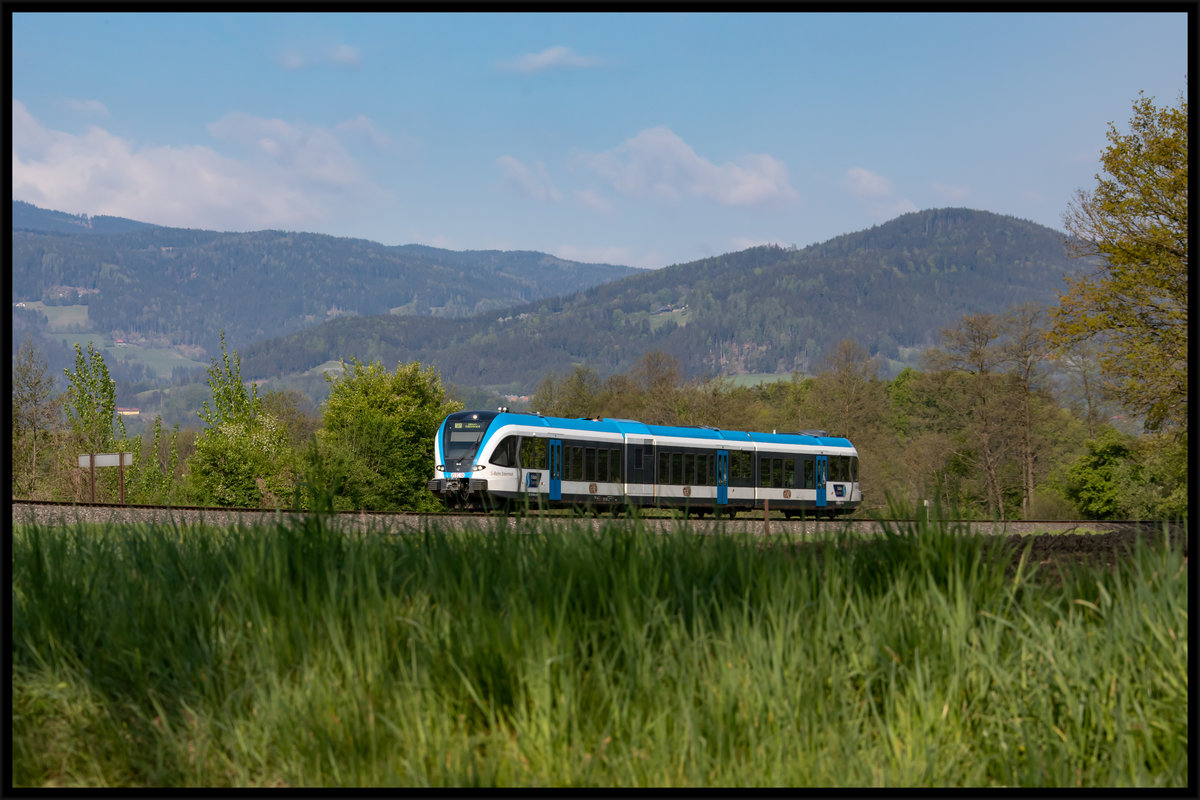Es grünt so Grün ,..... 

Nach einem kurzen Regenschauer am Morgen konnte ich gestern ( 26.04.2020 )  die Kamera nicht stecken lassen. 
GTW 08 am Weg nach Wies Eibiswald an diesem strahlenden Sonntag 