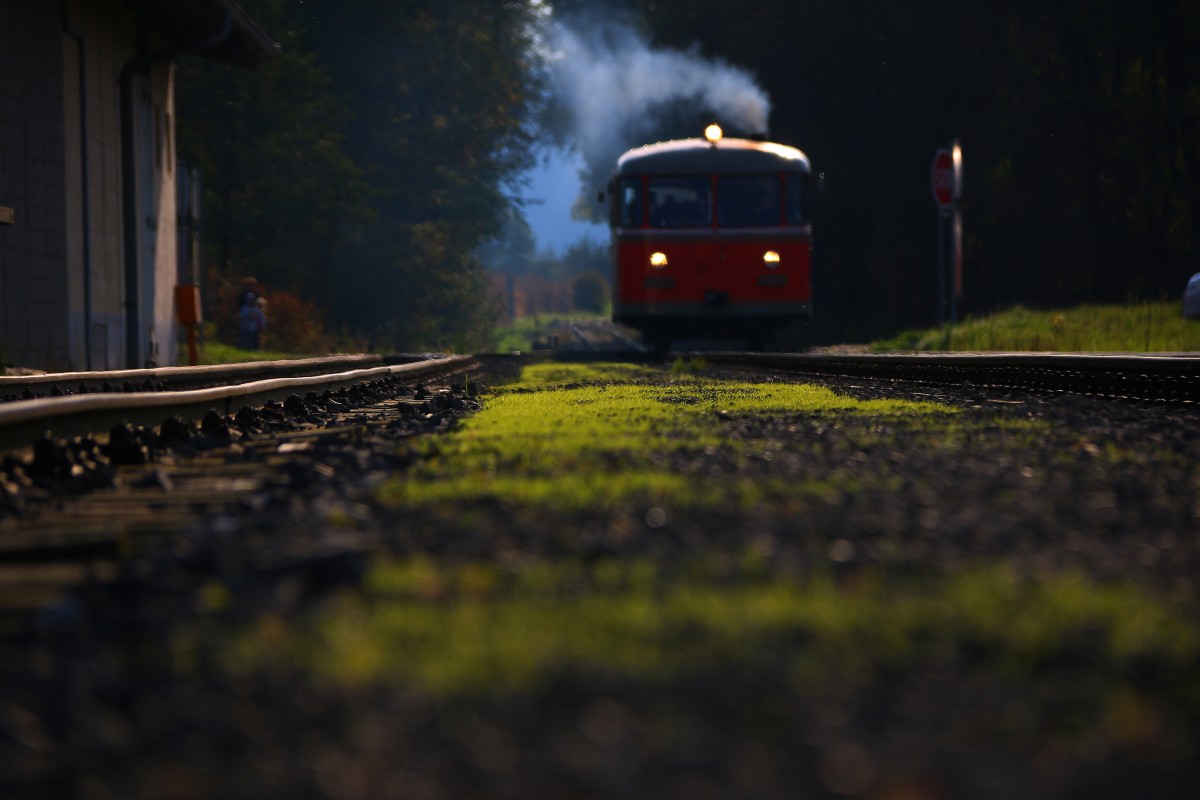 Es grünt so grün am Bahnsteig in Gleinstätten. Auf der Sulmtalbahn tuckerte ein Roter Blitz am gestrigen 18.Oktober gemächlich dahin.  