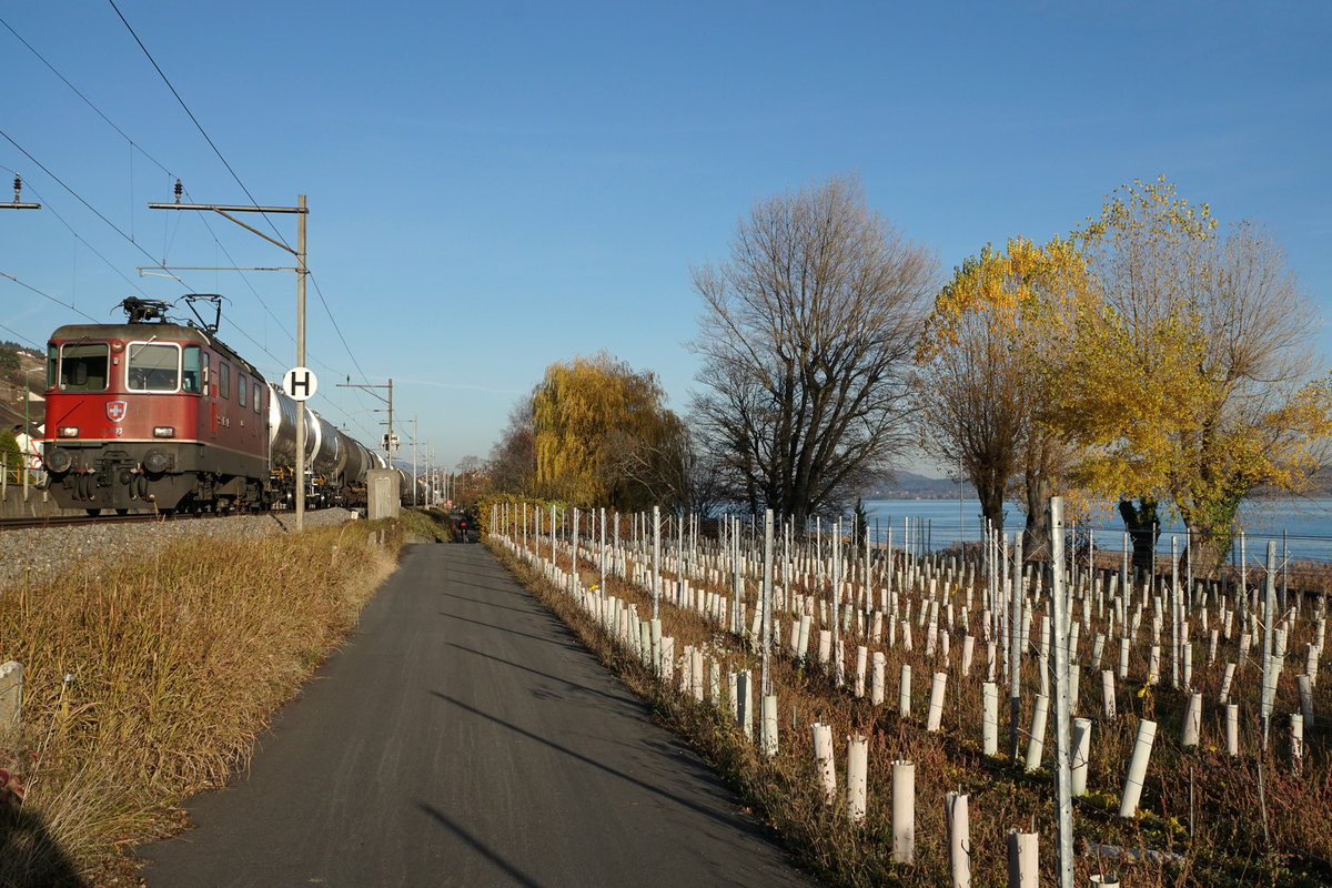 Es stehen noch SBB Lokomotiven im Einsatz ohne die grossen Nummern auf den Stirnfronten.
Ein Nebeneinander von Bahnlinie, Wanderweg, Reben und See.
SBB: Herbstliche Stimmung am Bielersee bei Ligerz am 22. November 2017.
Zisternenzug mit der Re 4/4 II 11233.
Foto: Walter Ruetsch